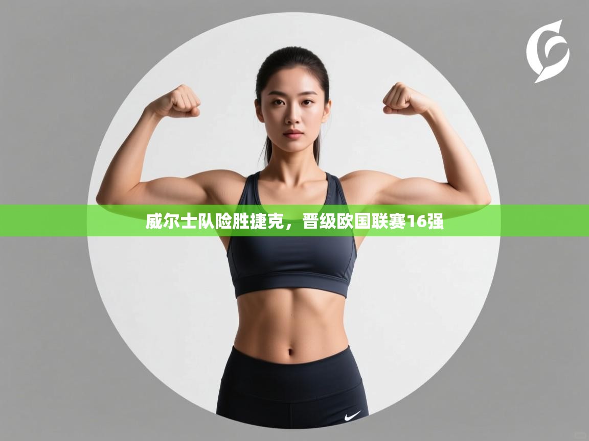 威尔士队险胜捷克，晋级欧国联赛16强  第1张