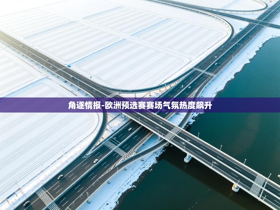 角逐情报-欧洲预选赛赛场气氛热度飙升 第2张