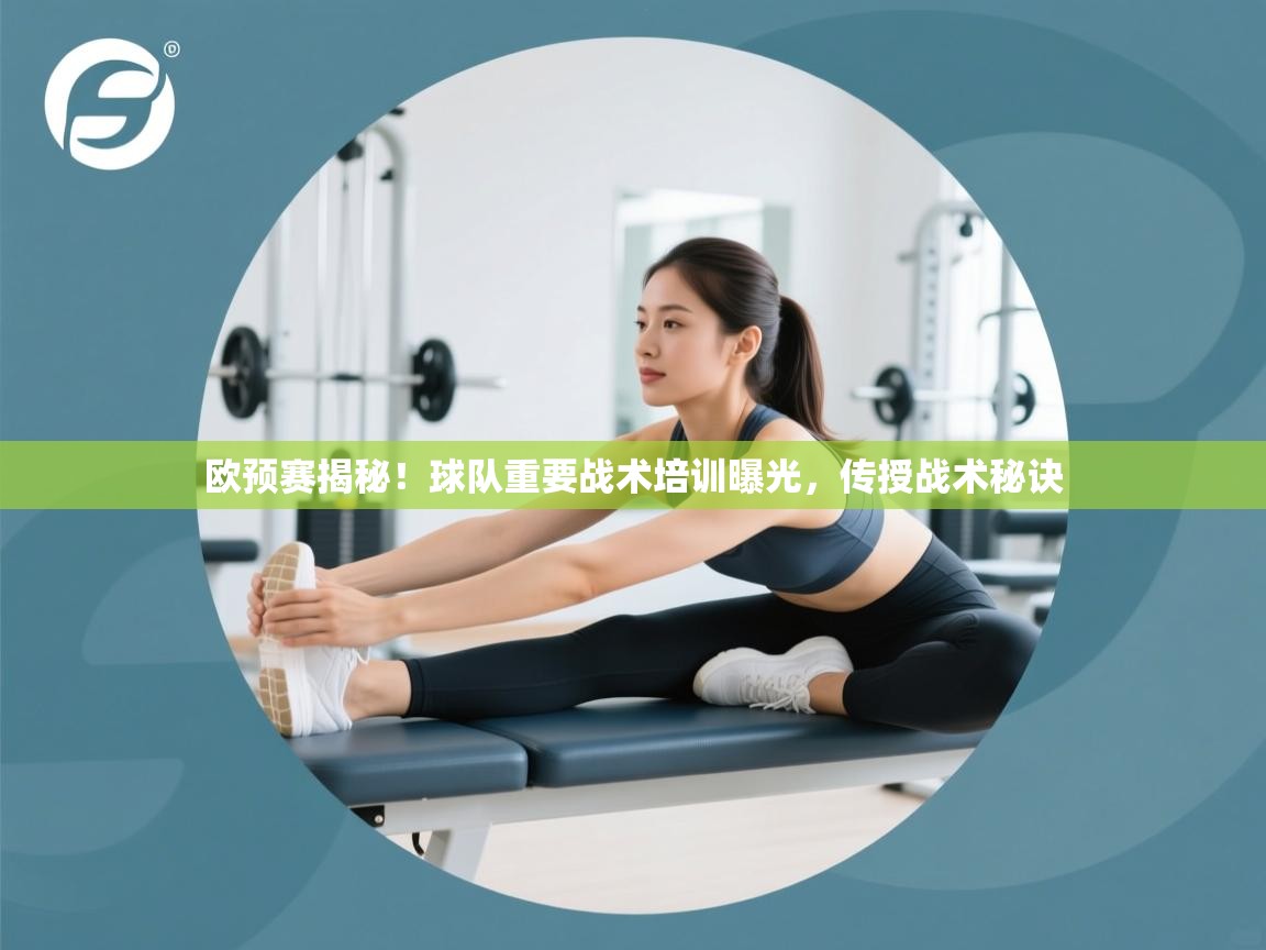 欧预赛揭秘!球队重要战术培训曝光,传授战术秘诀 第1张